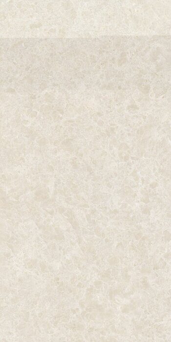 Ракушка бежевый керамогранит матовый 60х120см Global Tile