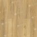 Жардин ЕСО 21-17 SPC замковая кварцвиниловая плитка Alpine Floor Eclipse Super Matt