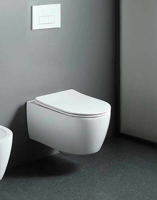 Европа Aquatek унитаз безободковый подвесной с сиденьем Soft Close  AQ1106L-00