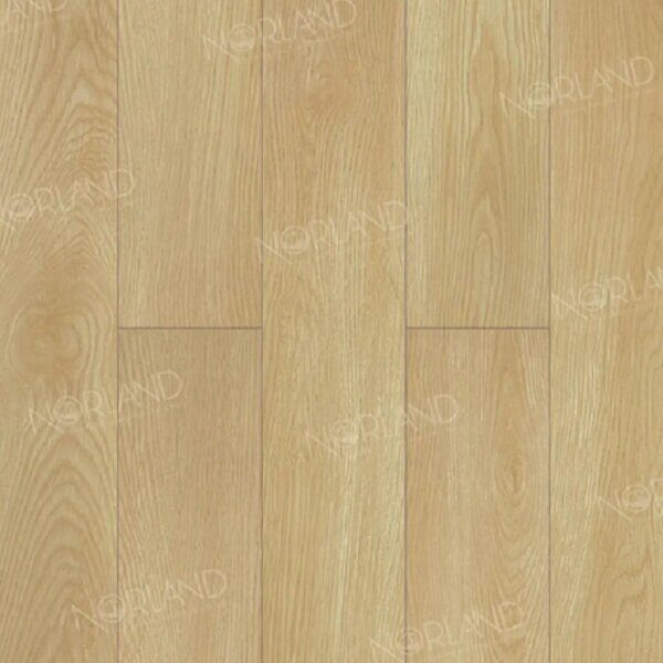 Дуб Тасмания ламинат 34 класс, 12мм, Norland Elegant Strong
