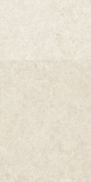 Ракушка бежевый керамогранит матовый 60х120см Global Tile