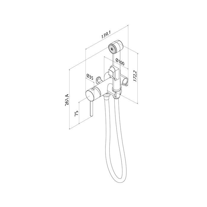 Axes Iddis хром смеситель скрытого монтажа с гигиеническим душем 003BNR0i08