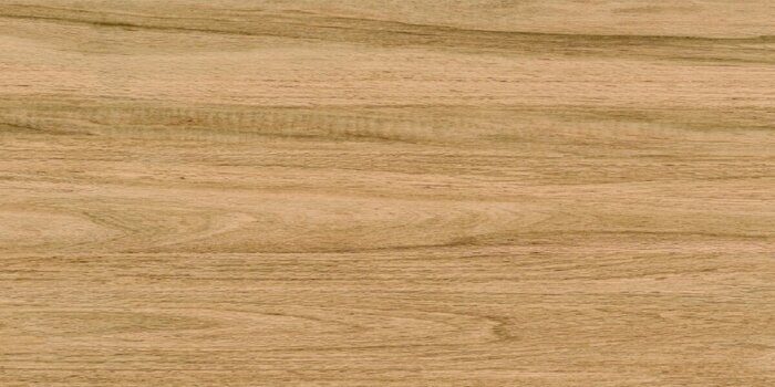 Greenwood Great керамогранит под дерево матовый 120х60см