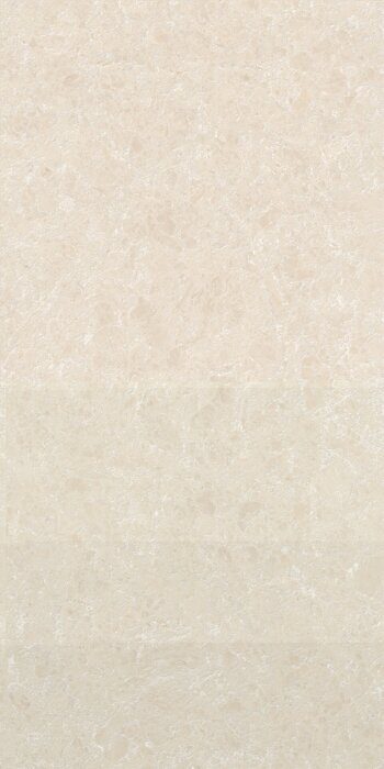 Ракушка бежевый керамогранит матовый граниль 60х120см Global Tile