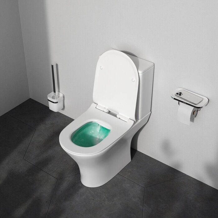 Sense C748600SC унитаз напольный безободковый AM.PM с сидением