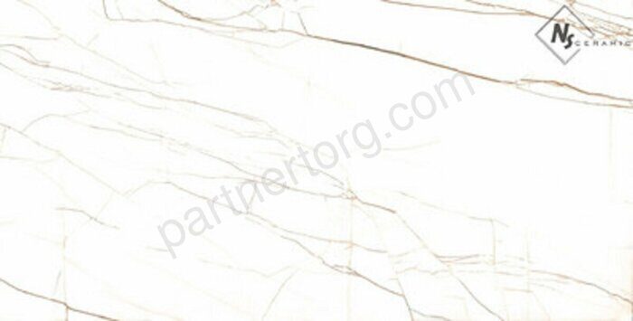 NSC1273 керамогранит полированный 120х60см
