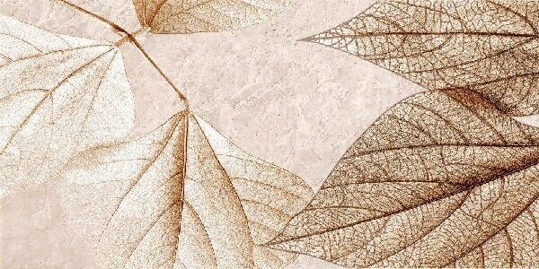 Ирида декор керамический глянцевая 30х60см TP3688F2