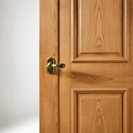 изображение межкомнатной двери Натуральный шпон