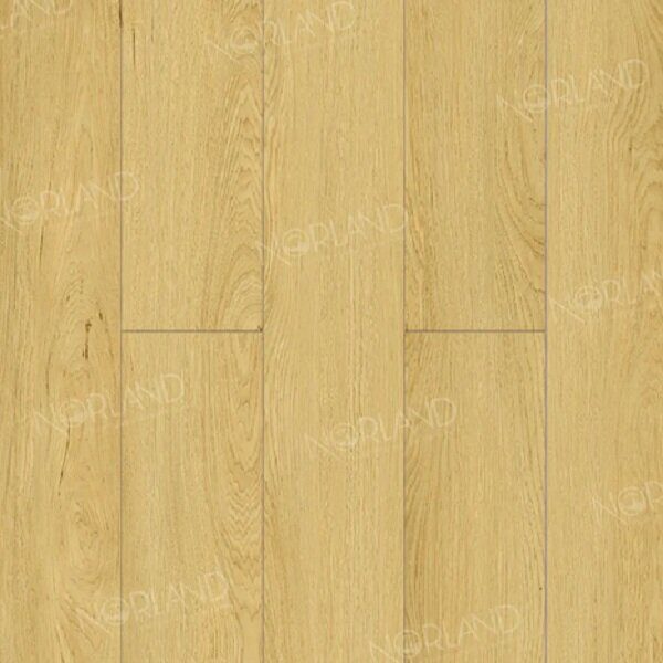 Дуб Элмер ламинат 34 класс, 12мм, Norland Elegant Strong