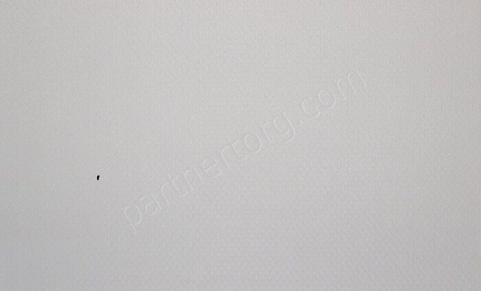 Палитра 70175-85 флизелиновые обои