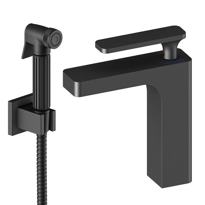 Torne Timo 4360/03G чёрный низкий для раковины с гигиеническим душем