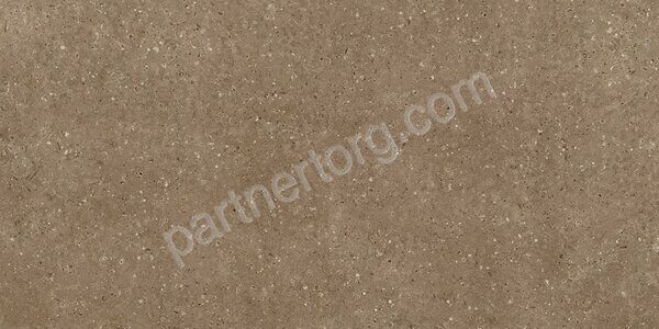 G214 Arkaim Brown Матовый MR керамогранит 60х30см