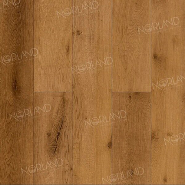 Дуб Помона ламинат 34 класс, 12мм, Norland Elegant Strong