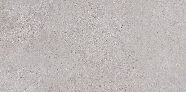 Трэверс светло-серый керамогранит 30х60см Lasselsberger Ceramics
