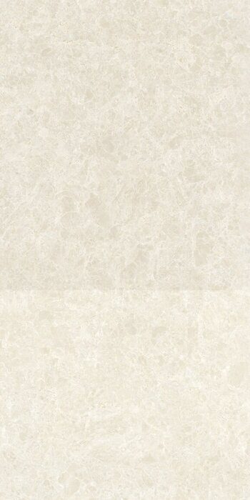 Ракушка бежевый керамогранит матовый 60х120см Global Tile