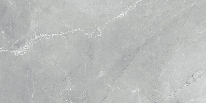 Armani Marble Gray LCM керамогранит серый глянцевый 120х60см