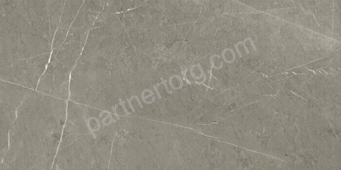 Skala Серый матовый керамогранит Kerranova 120x60см К-2202/MR