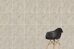 Quarstone декор пэчворк R10B керамогранит матовый 60х60см Vitra