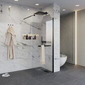 Niagara Nova NG-681-10BLACK душевая перегородка 100х195см