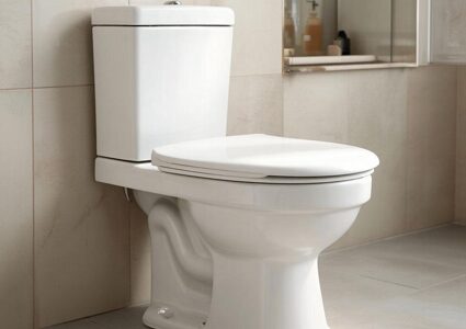 Выбор напольного унитаза