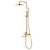 S222.24.03 Splenka Душевая система, сатин золотой