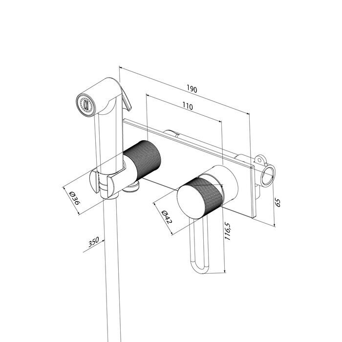 Duna Iddis графит смеситель скрытого монтажа с гигиеническим душем DUNGMV0i08
