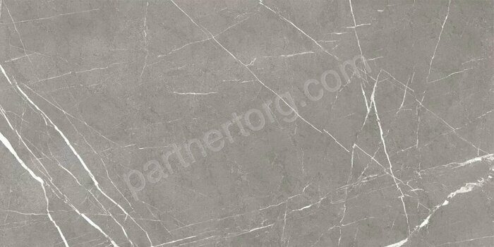 Encanto серый керамогранит матовый 120х60 Global Tile