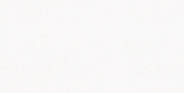 Mallorca Bianco настенная плитка белая матовая 31х63см Azori