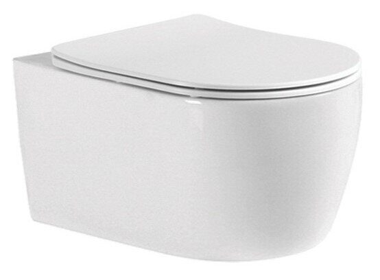 Европа Aquatek унитаз безободковый подвесной с сиденьем Soft Close AQ1106-00