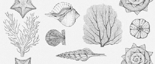 Aqua white wall 01 250х600 керамическая плитка матовая Gracia Ceramica