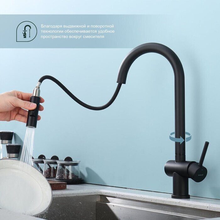 S204.49.06 Splenka Смеситель для кухни с выдвижным изливом, черный