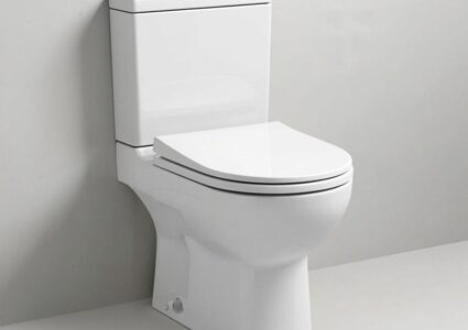 Как выбрать унитаз? Виды, модели, особенности