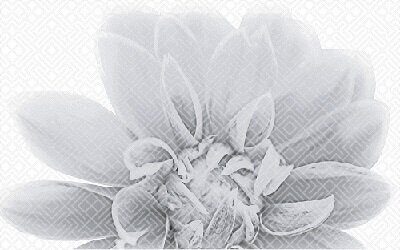 Камелия чер декор 03 250х400 керамический глянцевый Gracia Ceramica