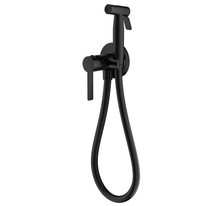 S221.52.06 Splenka Смеситель с гигиеническим душем встраиваемый, черный