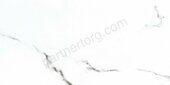 NTT9100 керамогранит полированный 120х60 см BB612NTT9100P