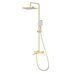 Raglo R30.24.03 Душевая система, сатин золотой