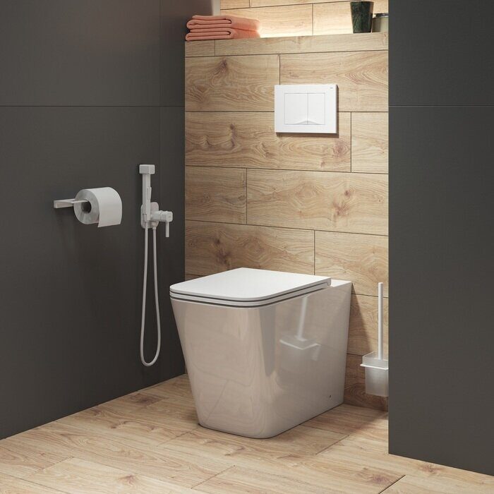 Bild приставной унитаз Iddis с сидением BILRDSEi26