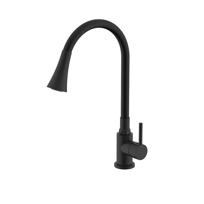 S201.4306.06 Splenka Смеситель для кухни, черный