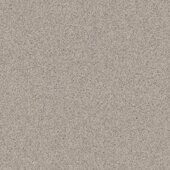 Primo Plus 313 Tarkett линолеум коммерческий гомогенный
