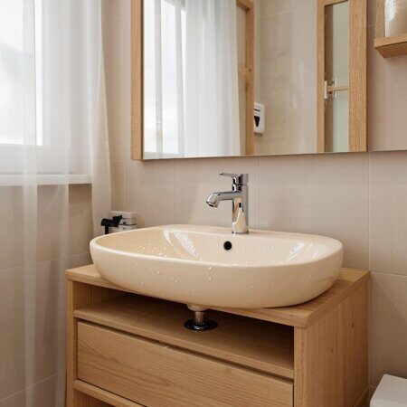 изображение Овальной раковины