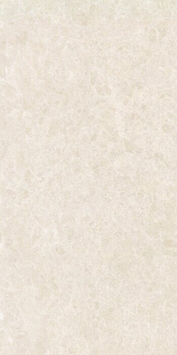 Ракушка бежевый керамогранит матовый 60х120см Global Tile