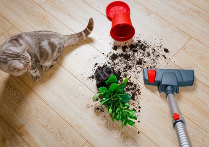 Как положить ламинат?