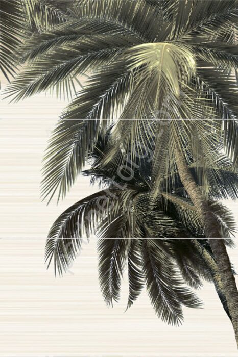 Del Mare панно из 3 плиток глянцевое пальма 50х74,7см Alma Ceramica PWU09DLM2