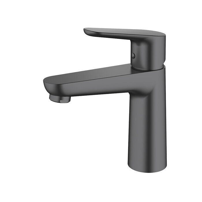 Raglo R31.10.09 смеситель для раковины графит