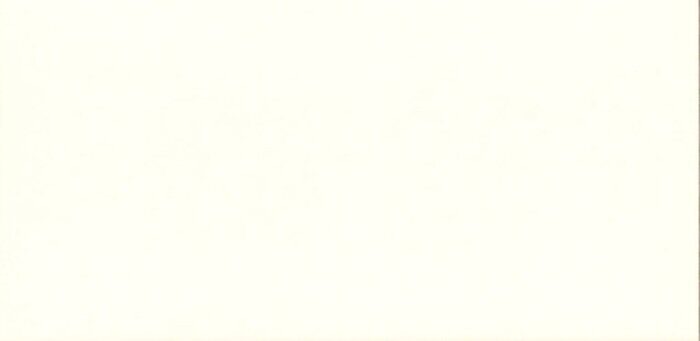 Атланта белая плитка керамическая для бассейнов 24,5х12см Belani