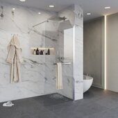 Niagara NG-661-10 душевая перегородка 100х195см