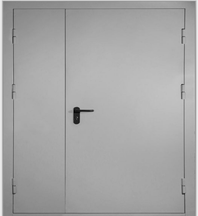 ДПМ-02 EIS 60 дверь входная противопожарная