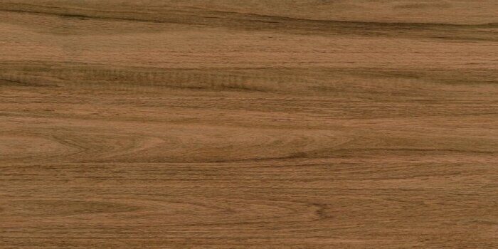 Greenwood Elite керамогранит под дерево матовый 120х60см