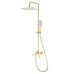 S01.24.03 Splenka Душевая система, сатин золотой