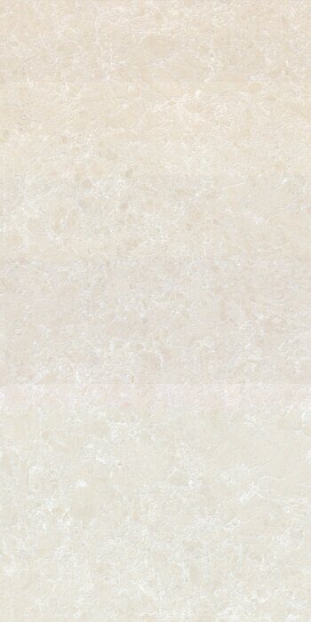 Ракушка бежевый керамогранит матовый граниль 60х120см Global Tile